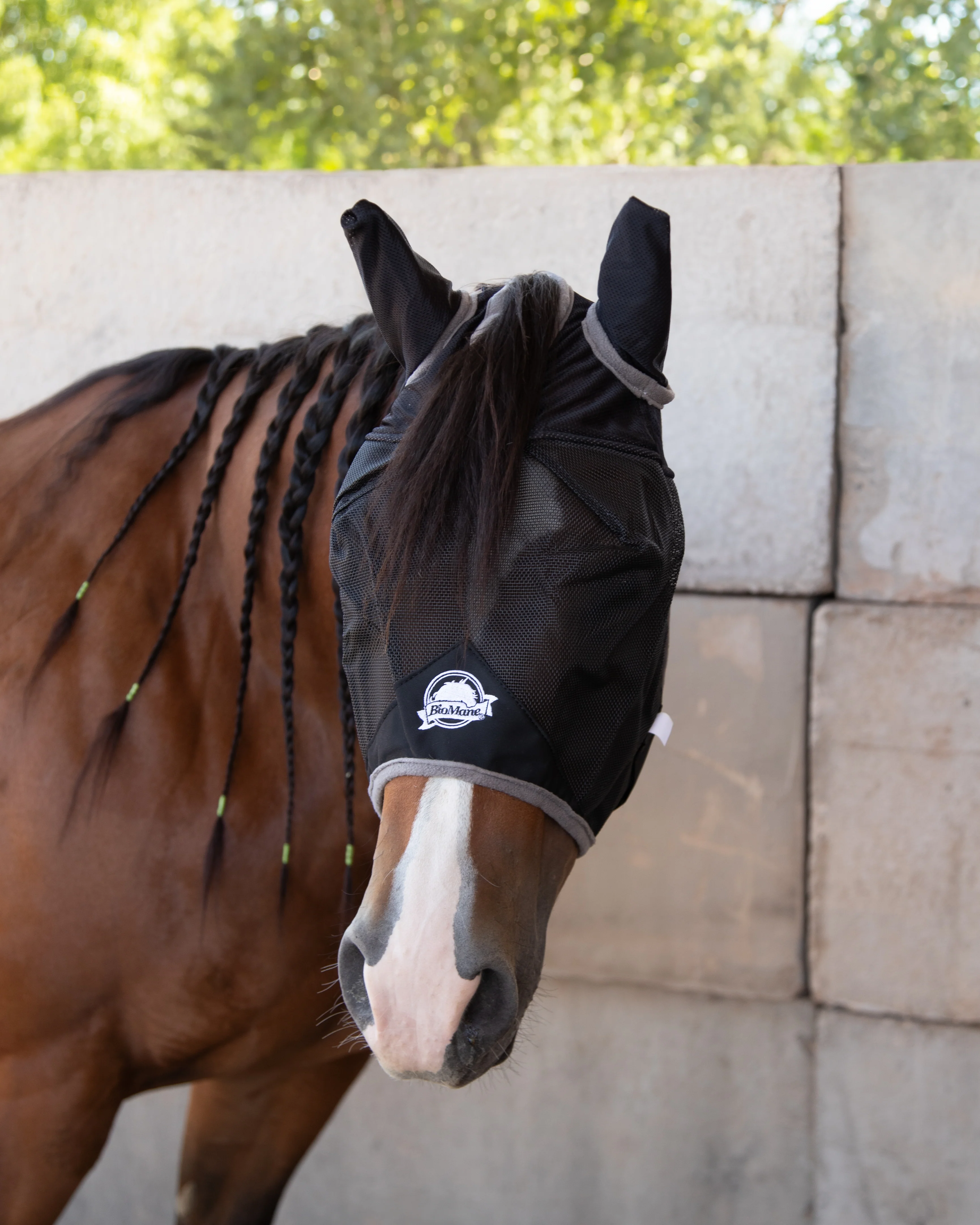 Fly Mask - Image 10