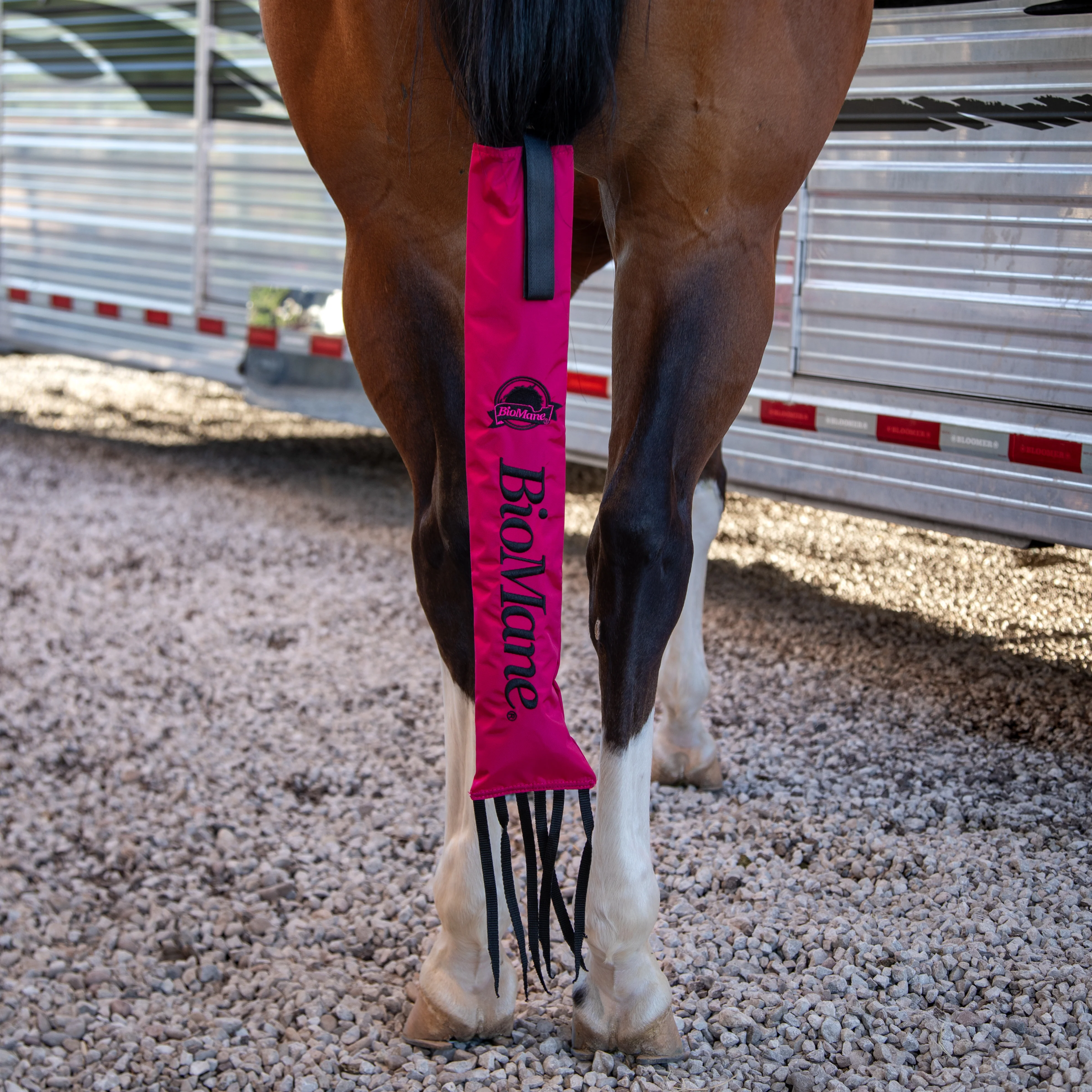 Tailbag - Image 15